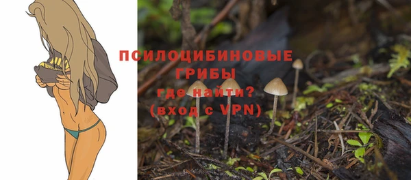 ALPHA PVP Беломорск