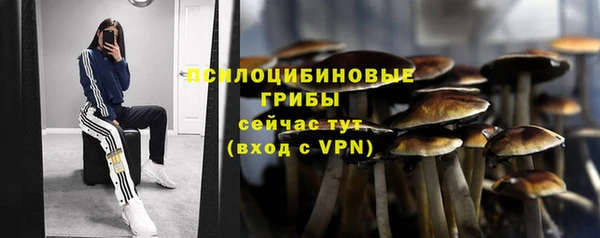 mdpv Балабаново