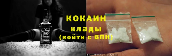 дживик Белокуриха