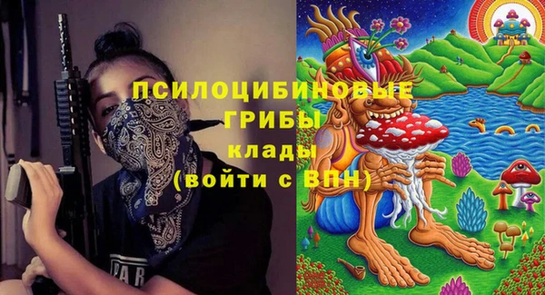 дживик Белокуриха