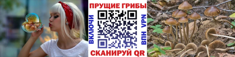 Галлюциногенные грибы прущие грибы  Отрадное 